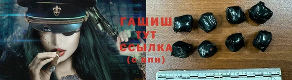 ECSTASY Горняк
