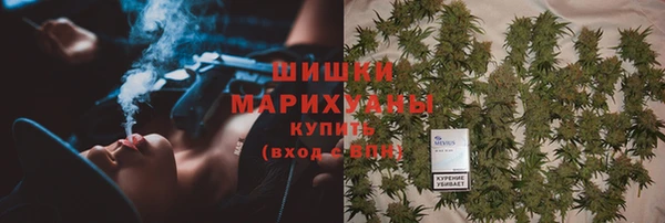 гидропоника Горно-Алтайск