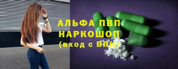 ECSTASY Горняк