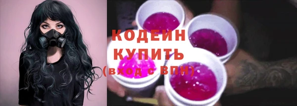 ECSTASY Горняк