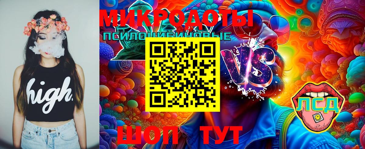 Галлюциногенные грибы Magic Shrooms Дивногорск