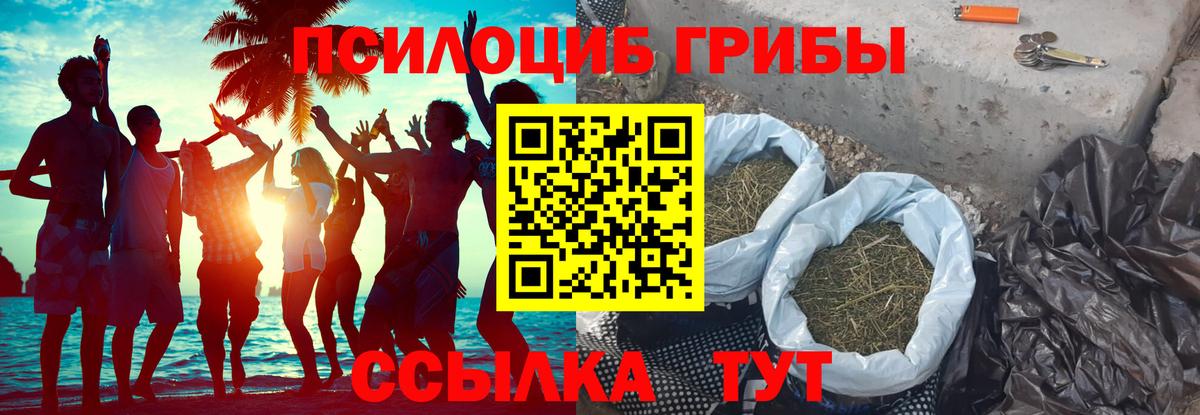 Псилоцибиновые грибы Psilocybine cubensis Дивногорск